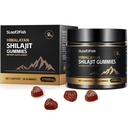 Gumi Organik Shilajit, Murni Himalaya Shilajit Gummies untuk Tambahan Pria, Emas Shilajit Gummies untuk Perempuan 85 Alam + Trace Mineral, Ashwagandha, Ekstrak Minyak Benih Hitam, 90 Gummi