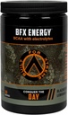 BFX Energy Pre Workout Powder Suplement (BlackBerry Lemonade) dengan BCAA, Electrolites, dan Green Tea untuk Caffeine Natural, Intra dan Post Workout Muscle Recovery, 30 Servis