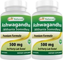 Best Companals 2 Pack Ashwagandha Capsules for Relaxing Stress and Mood, 500 mg, 120 Count (Total 240 Kapsul)