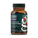 Gaia Herbs Cranberry Konsentrasi - Membantu Mempertahankan Kesehatan Trakta Uriner - Dibuat dengan Ekstrak Buah Organik di Kasules Konvenient - 60 Vegan Cair Phyto- Kapsul (30 Hari Suppply)