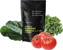 Powder Superfood Organik Hijau dengan MSM, untuk Kesehatan Gut, Hamil, Dukungan Ammune, Energi, dan Lebih (Sugar Free, Non-GMO, Keto, Vegan), 60 Hamba, 30 Hari Suppply
