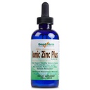 Good State Liquid Zinc Plus Ultra Konsentrat Suplemen 425, 4 fl oz, 1 Count