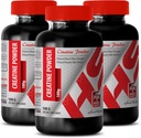 Body Builder for Men - CREATINE Powder 100G