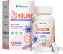 Prenatal Chooline Suplemen, 500mg, dengan Inositol, B1, B6, Pembangunan Otak di Utero / Early Life, Meningkatkan Content Choline di Supply Hari Brest Milk Averty 30