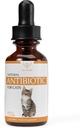 Antibiotik alami untuk Kucing - Antibiotik Kucing - Antibiotik Kucing - Antibiotik Pet