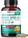 Laut Moss dengan Minyak Benih Hitam, Ashwagandha, Turmeric & Moringa - Imune, Gabungan & Skin Suplemen - 60 Capsules - Vital Herbal - Buruh Diuji, Non-GMO, dibuat di USA