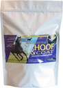 Pennwoods Estiest Hoof & Coat - Suplemen Kuda dengan Biotin untuk Perkembangan Equin Optimal Hof, Sehat Coat & Nutrasi Keseimbangan, 4lb Bag