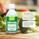 FUNAT Chlorophill Plus Liquid with Natural Mint Flavor - Nutrient- Rich Green Supplemen Energi & Wellness, Easy- To- Gunakan Drops - 8.1 FL OZ