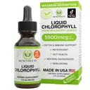 Benevolent Chlorofil Liquid Drops - Detox & Imune Dukungan, Deodorizer Internal & Skin Health Supplement, Non-GMO, 4 Bulan Supply, Mint Flavor Natural