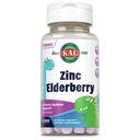 KAL Kids Zinc Elderberry Dinosaurus, Suplemen Dukungan Imune * untuk Anak-anak w / Sambucus Elderberry, Pengaruh Campuran Cepat Berry AktivMelts, Fun, Tasty Dino Shape, Vegan, 90 Servings, 90 Micro Tablet