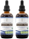 Rahasia dari Tribe Bilberry Fruit Alcohol-Free Liquid Extract, USDA Organic Bilberry (Vacinium Myrtellus) Dry Fruit Tincture Suplemen (2x4 FL OZ)