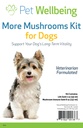 Pet Wellsbeing More Mushroom Kit for Dogs - Imune System Support and Antioksidant Protection - Vet- Formulated with Turkey Tail, Reishi, Maitake, Asttragalus
