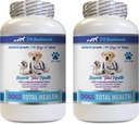 PET SUPLEMENTS & NUTRITION LLC Dog Dental Hygiene - Dogs Total Health Control - Imune - Imune Skin Nails Oral Eye Health Formula - Oral Calcium for Dogs - 2 Bottles (120 Treats)