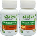 Shilajit Forte Capsules 500 mg. 60 Veg.