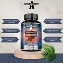 APollo 'S HEGEMONY Alfabet - GPC 600mg per Daily Dose - 90 Vegan Choxsules - 99% Chooline Alfoscerate Dieter Supplemen - Lipid Choline - Memori dan konsentrasi Kapsul