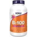 Suplemen SEKARANG, Vitamin B-100, Produksi Energi *, Kesehatan Sistem Gugup *, 250 Veg Capsules