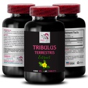 Daya Stamina - TRIBULUS TERRESTRICTS - Energy for Activity, Energy Dukung Formula, Aktif Energy Dukungan, Pembangkit Daya, Daya Aktivitas Aktivitas, Aktif Kerja 1 Botol 60 Tablet
