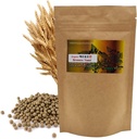 Suplemen Alami Organic Breast Pil KB: