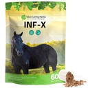 Silver Lining Herbs Equine INF- X - Dukung Stress Horse Relief and Healthy Levels of Good Bakteria - Dukungan Natural untuk Equine Immune System - Herbal Suppplemen Detoksifikasi Equin - 1 lb