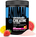 Hewan Supercharged Creatine Powder - Flavored Creatine Monohydrate Enhanced with Betaine Anhydrous, PurpleForce & Senactiv, Energy, Endurance, Muscle Recovery for Men and Women - Fruit Punch, 300g