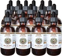 Zaitun FilePharm (Olea europaea) Organik DryLeaf Veterinary Alcohol- Free Liquid Extract, Pet Herbal Suplemen 15x4 oz
