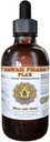 Flax Liquid Extract, Organic Flax (Linum usitatissimum) Tincture Tambahan 4 oz