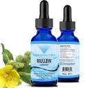Absonutrix Mullein 300 mg, 4 Oz Liquid, 300 Sertifikasi, dibuat di Amerika Serikat, Absorpsi Cepat, Kualitas Mampu Ingredians, Non-GMO, GMP Certifikasi Fasilitas, Cruelty- Free Products