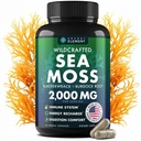 Sea Moss Capsules - Irish Sea Moss Advanced with Burdock Root, Bladderwrack & Muira Puama for Immunity, Gut, & Energy - Superfood Sea Moss Suplemen / Raw Sea Moss Powder - 120 Irlandia Seamoss Pills
